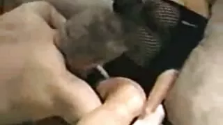 Vienišas barzdotas v ...