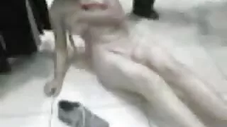 Majoras išsinuomojo  ...